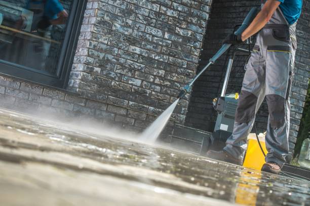 Best Fence Cleaning and Maintenance in East Dundee, IL